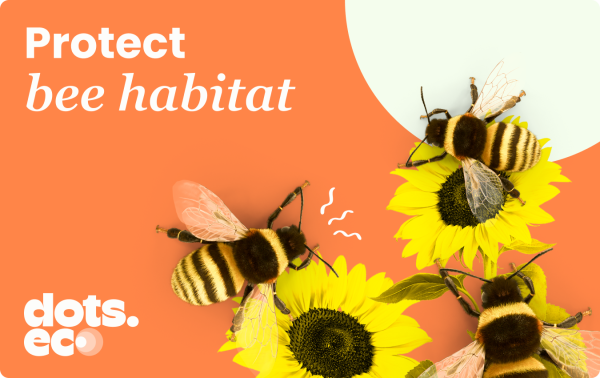 Protect bee habitat
