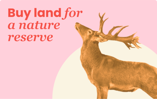 Buy land for a nature reserve