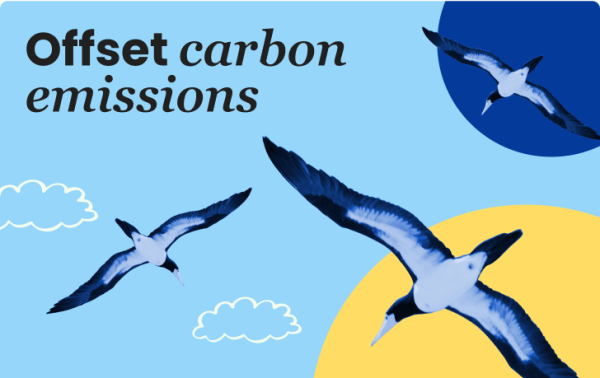 Offset carbon emissions