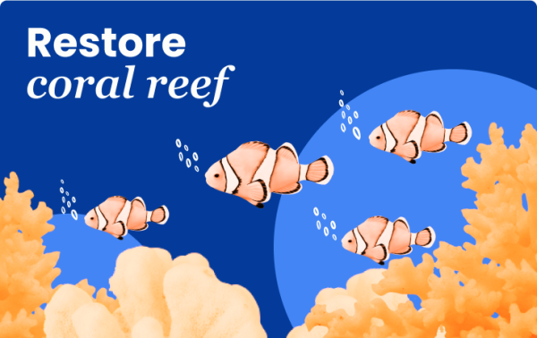 Restore coral reef