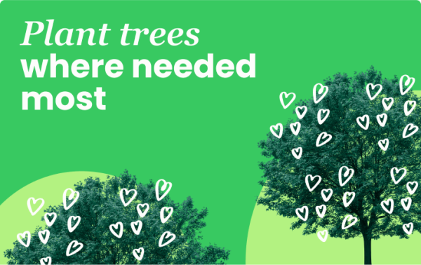 Plant trees where needed most