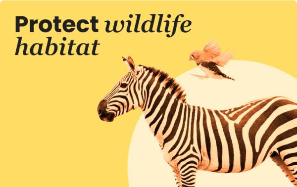 Protect wildlife habitat