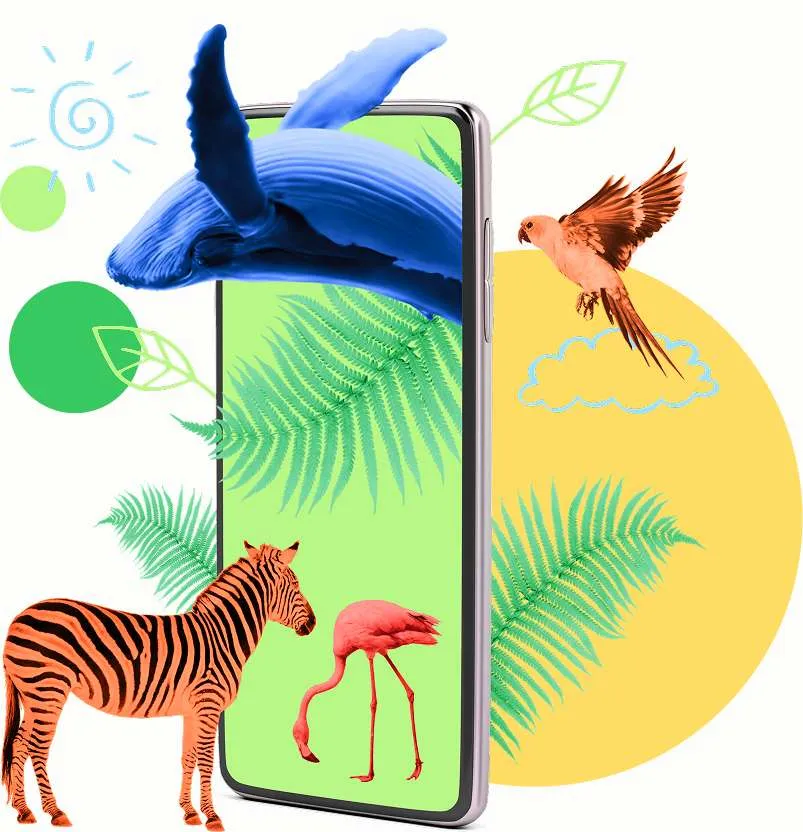 Track your impact on your phone — whale, zebra and flamingo around a phone